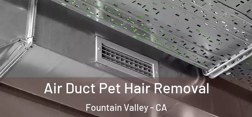 Air Duct Pet Hair Removal Fountain Valley - CA