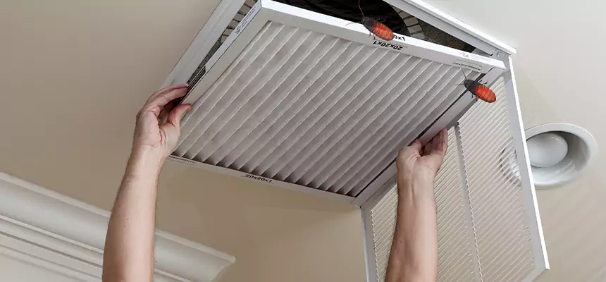 Preventive Cockroach-Proofing for Ducts in Fountain Valley
