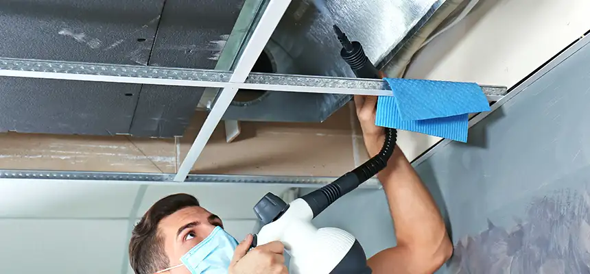 Our Air Duct Rodent Removal Services in Fountain Valley, CA