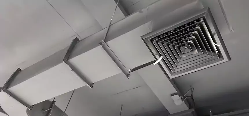 Restorative Allergy Relief Vent Cleaning – Coil, Blower & Housing Detail in Fountain Valley