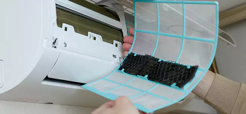 Gentle Ductwork Odor-Control Pet Dander Duct Cleaning in Fountain Valley, CA