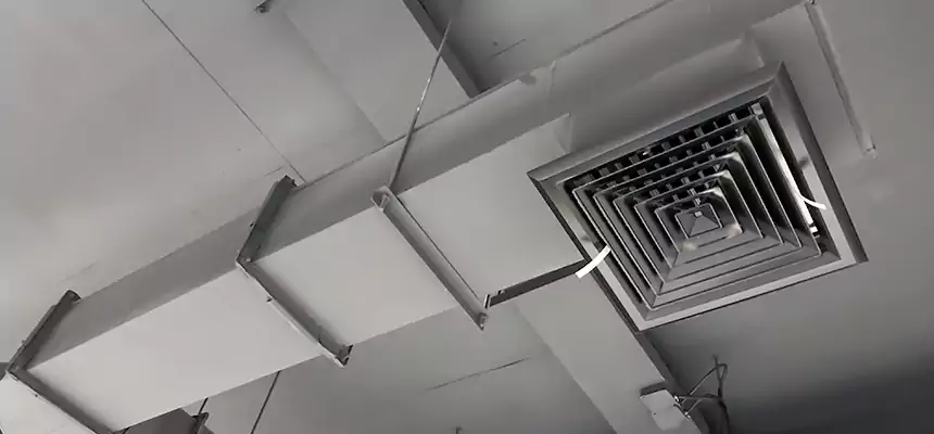 Our Rodent Droppings In Vents Services in Fountain Valley, CA