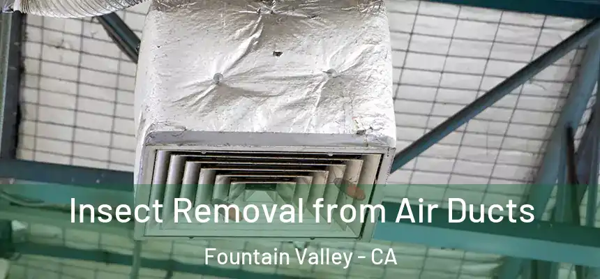 Insect Removal from Air Ducts Fountain Valley - CA