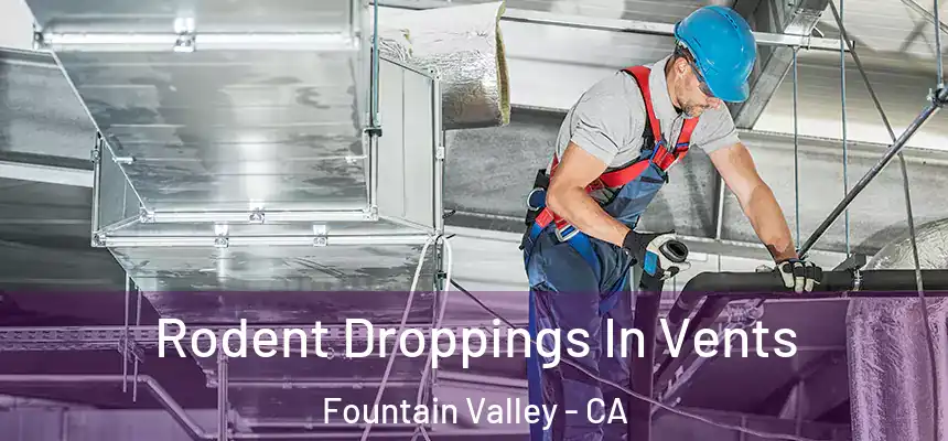 Rodent Droppings In Vents Fountain Valley - CA