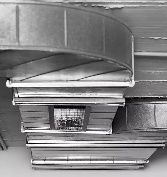 Professional Air Duct Pet Hair Removal in Fountain Valley, CA