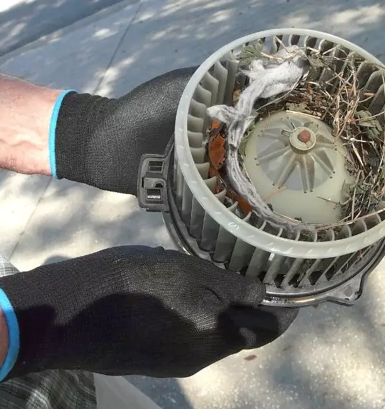 About Air Duct Rat Removal in Fountain Valley, CA