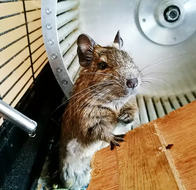 Why Homeowners & Businesses Trust Us Fountain Valley, CA